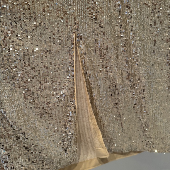 H&M Champagne with Silver Sequin Dress XXL - Picture 6 of 10